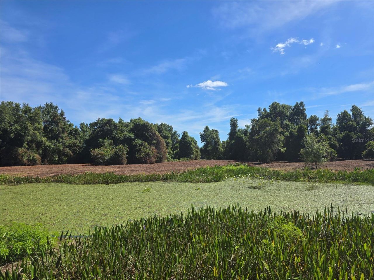 Cr 736, Center Hill, FL 33514 Photo