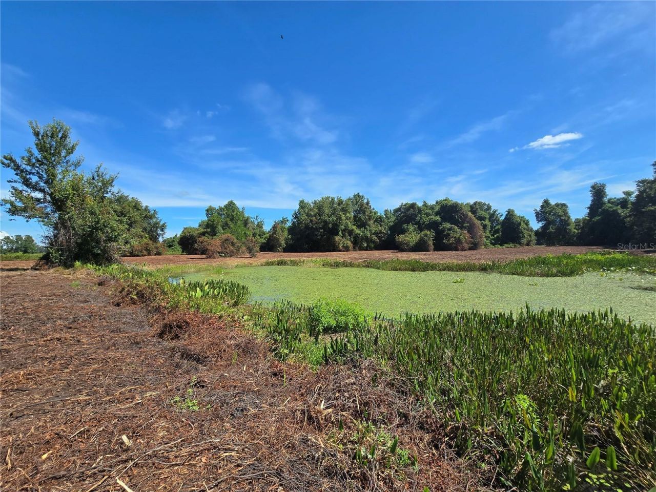 Cr 736, Center Hill, FL 33514 Photo