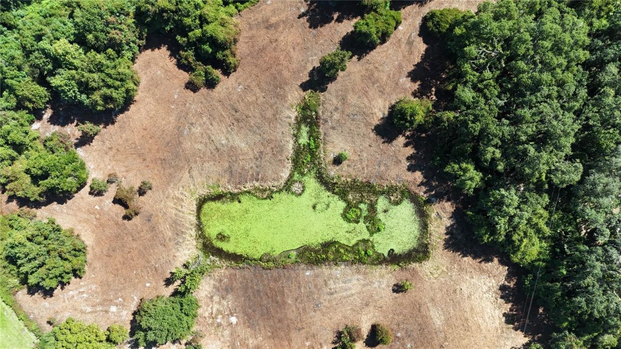 Cr 736, Center Hill, FL 33514 Photo