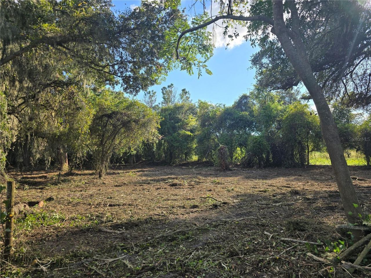 Cr 736, Center Hill, FL 33514 Photo