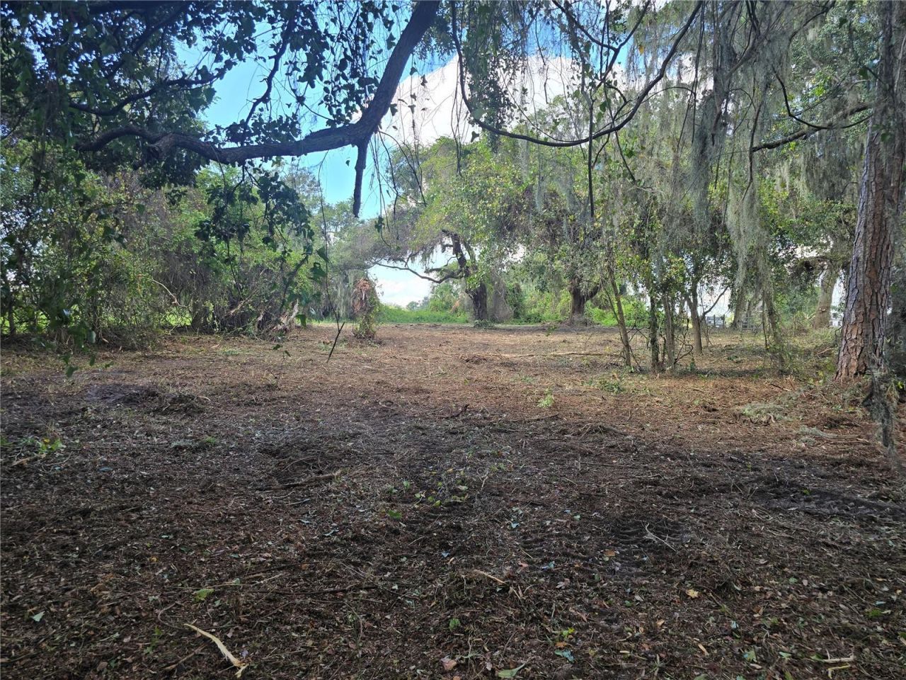 Cr 736, Center Hill, FL 33514 Photo