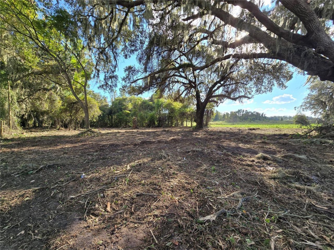 Cr 736, Center Hill, FL 33514 Photo