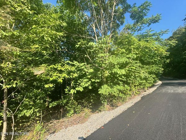 617 N North Pointe Tr, Allons, TN 38541