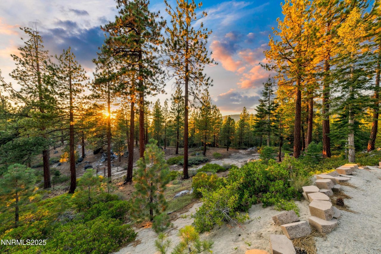 488 Laurel Lane, Stateline, NV 89449 Photo