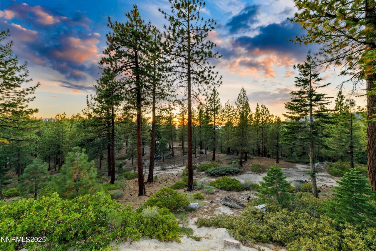 488 Laurel Lane, Stateline, NV 89449 Photo