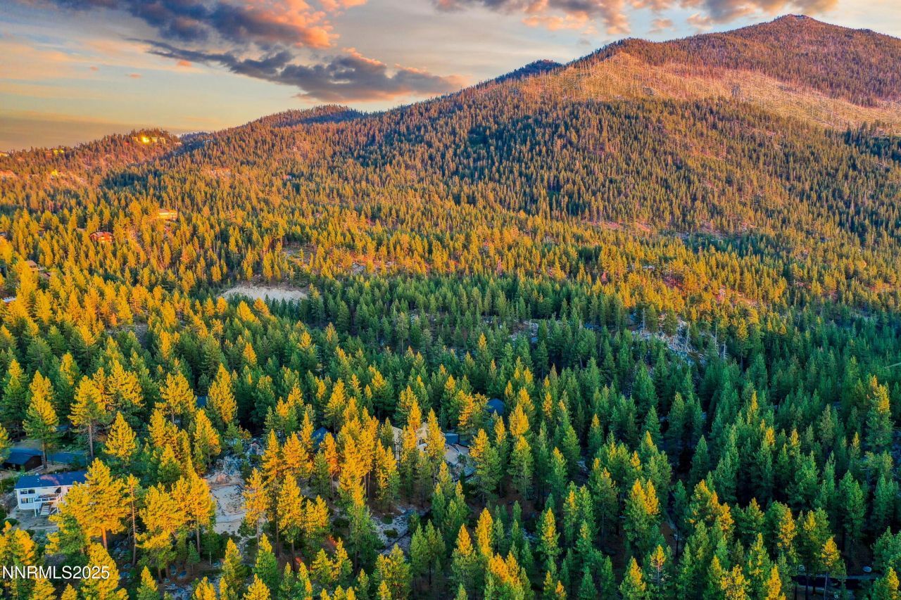 488 Laurel Lane, Stateline, NV 89449 Photo