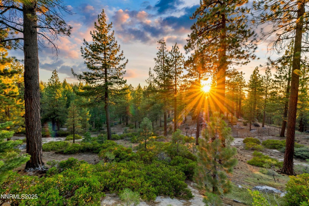 488 Laurel Lane, Stateline, NV 89449 Photo