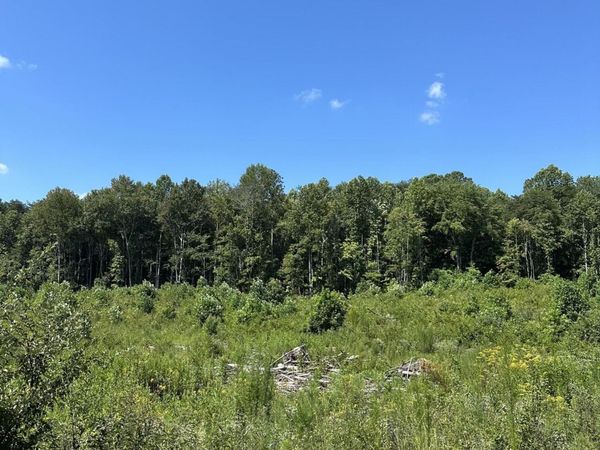 Tract 12 Dykes Hollow Road, Tracy City, TN 37387