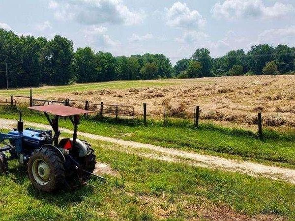 7286 County Line Road, Lula, GA 30554