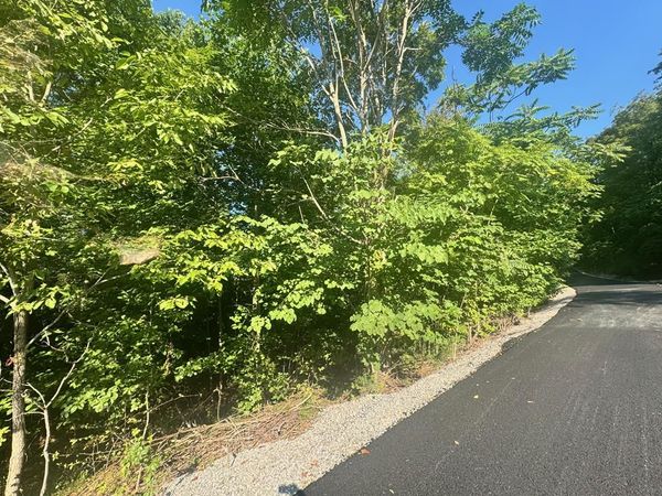 617 North Pointe Tr, Allons, TN 38541