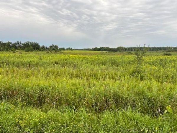 TBD Olympic Street, Brook Park, MN 55007