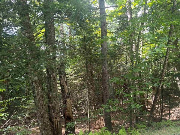 50 Longwood Drive, Grantham, NH 03753