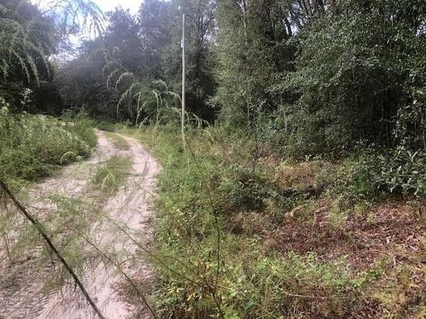 127 Sharon Drive, Satsuma, FL 32189