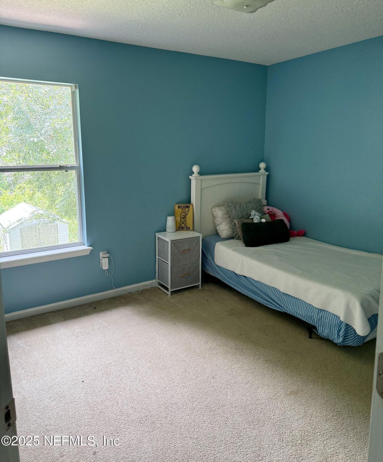 8348 Candlewood Cove Trail, Jacksonville, FL 32244 Photo