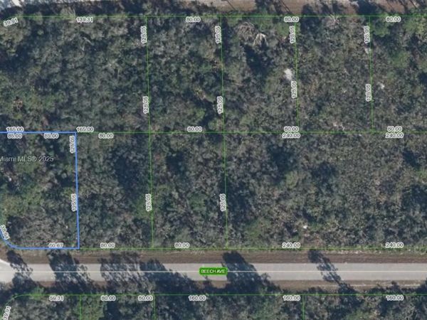 3031 Beech Avenue, Lake Placid, FL 33852