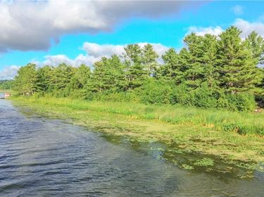 Beaver Meadow, Chaumont, NY 13622