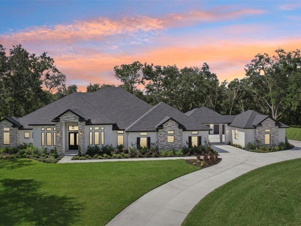 3317 CHASE JACKSON BRANCH, LUTZ, FL 33559