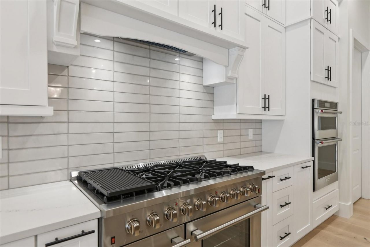 3317 Chase Jackson Branch, Lutz, FL 33559 Photo