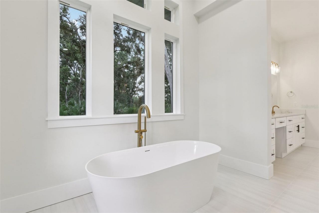 3317 Chase Jackson Branch, Lutz, FL 33559 Photo