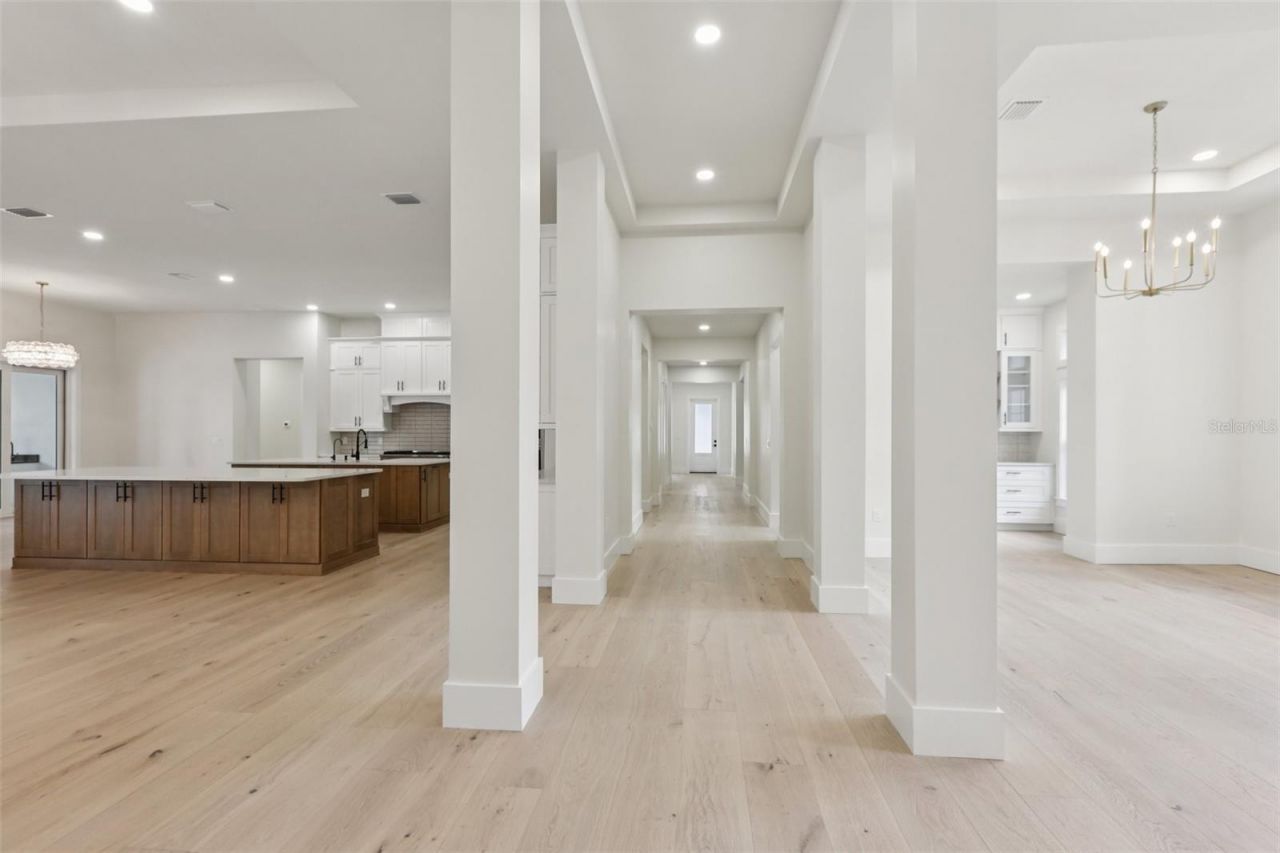 3317 Chase Jackson Branch, Lutz, FL 33559 Photo