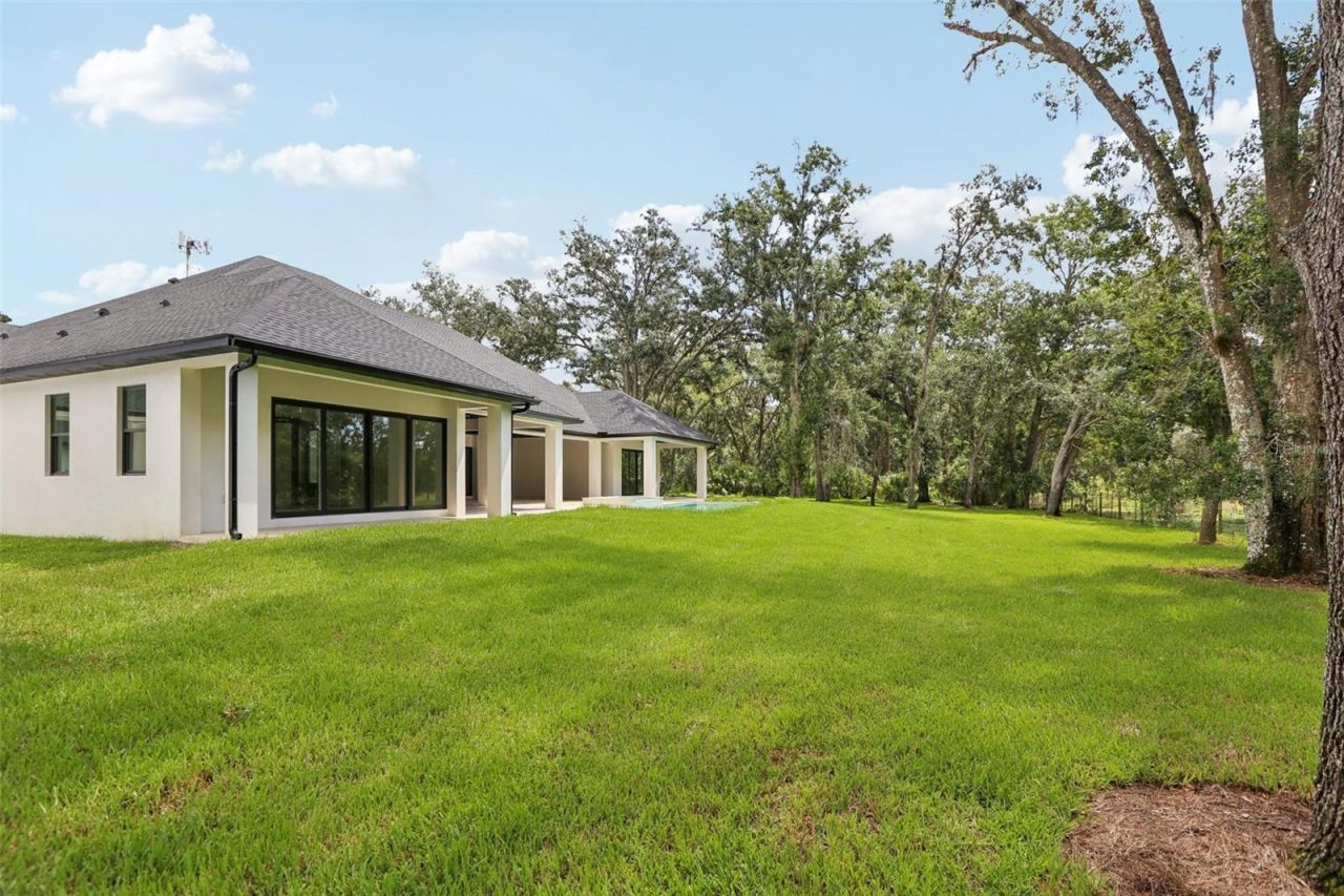 3317 Chase Jackson Branch, Lutz, FL 33559 Photo