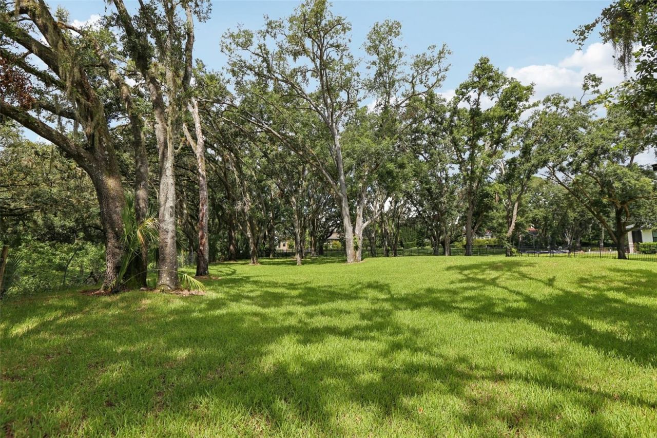 3317 Chase Jackson Branch, Lutz, FL 33559 Photo