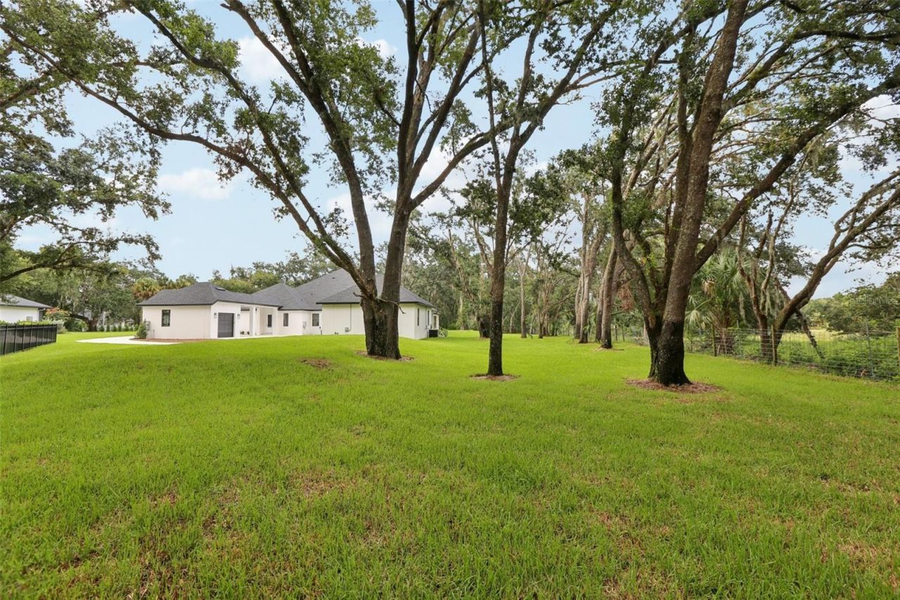3317 Chase Jackson Branch, Lutz, FL 33559 Photo