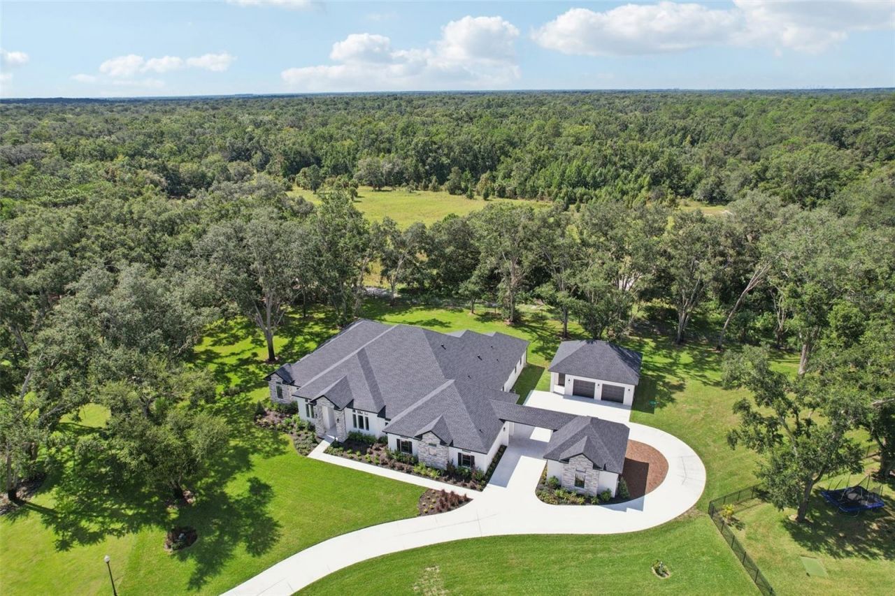 3317 Chase Jackson Branch, Lutz, FL 33559 Photo