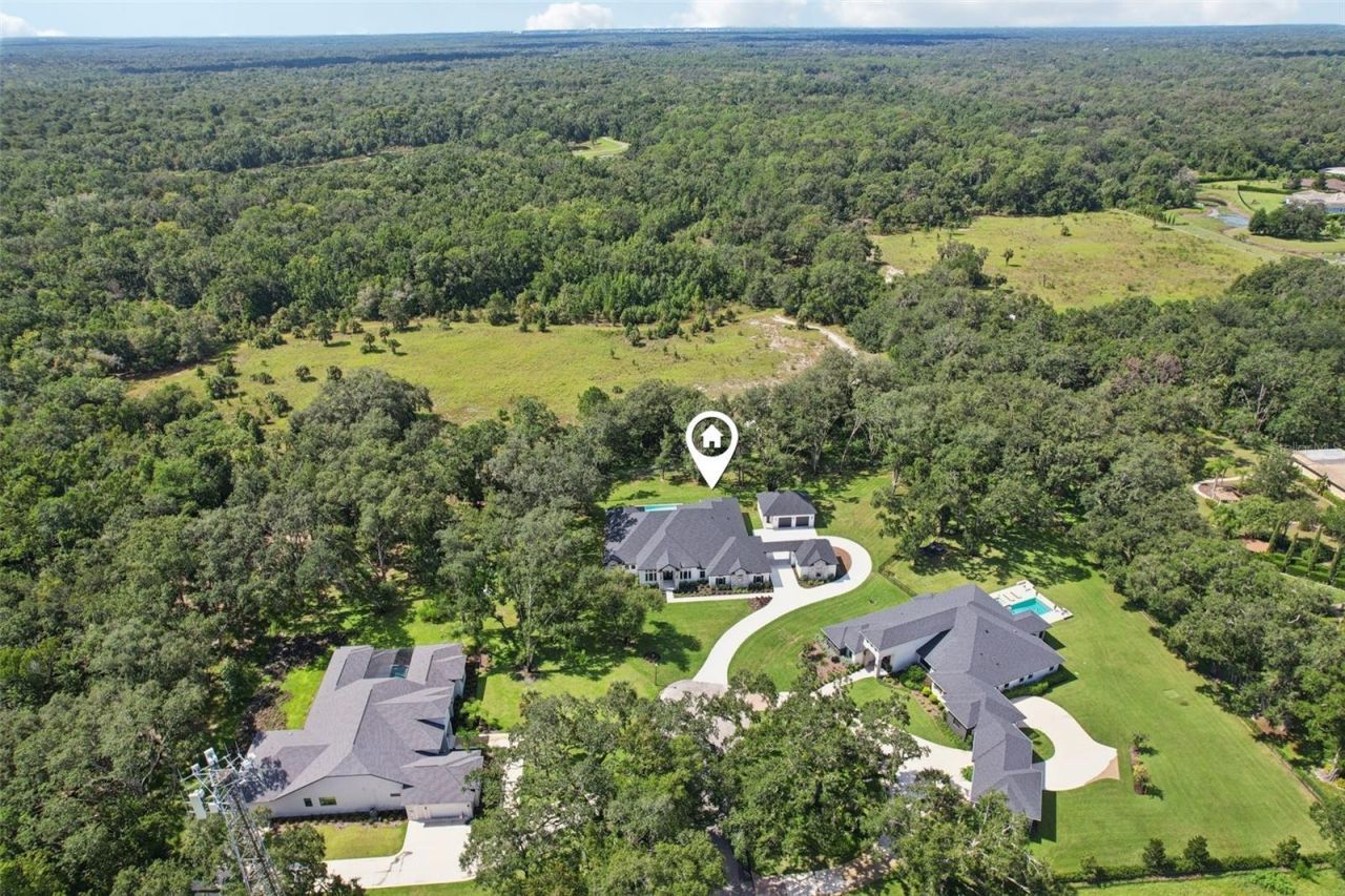 3317 Chase Jackson Branch, Lutz, FL 33559 Photo