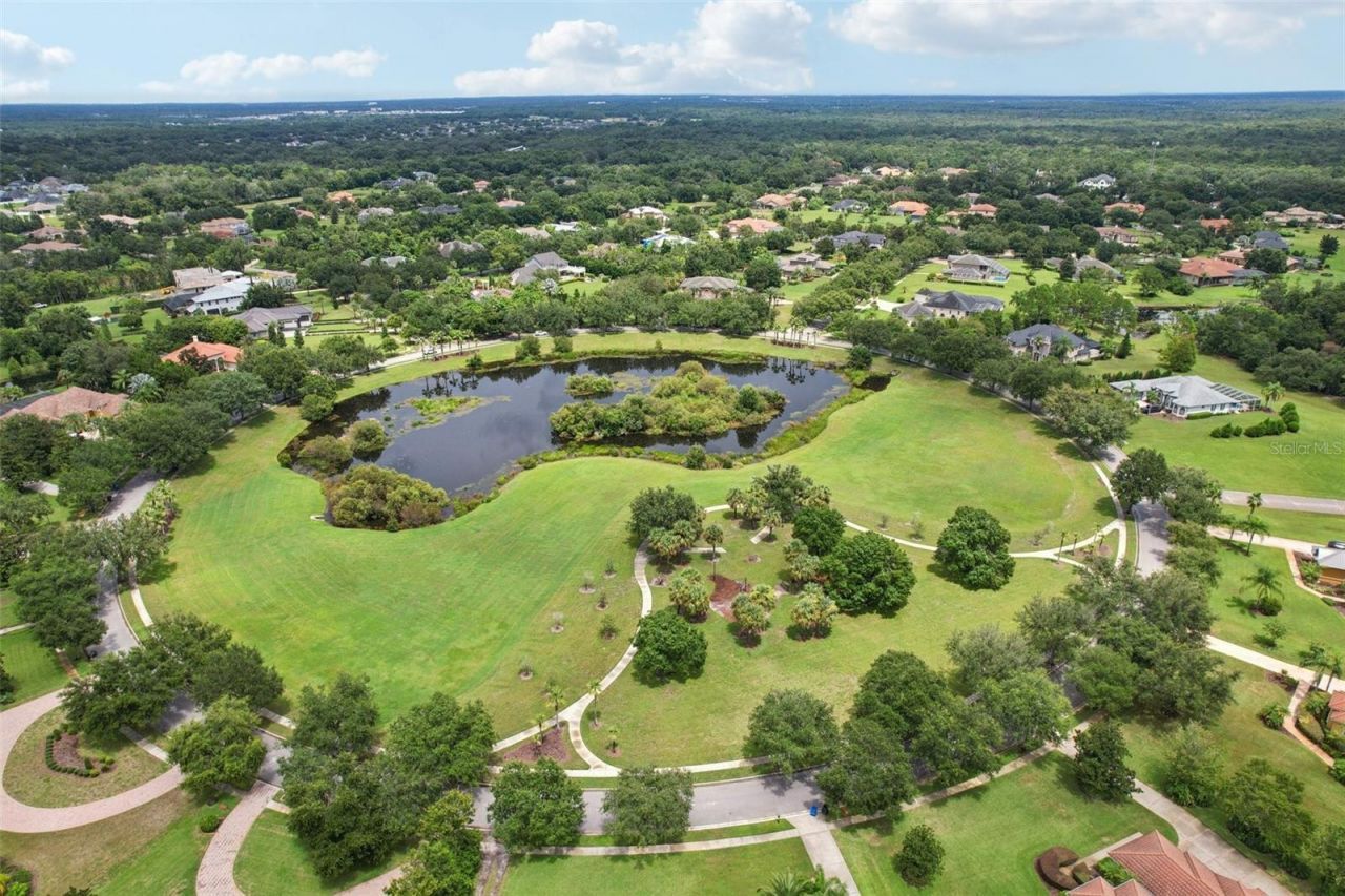 3317 Chase Jackson Branch, Lutz, FL 33559 Photo