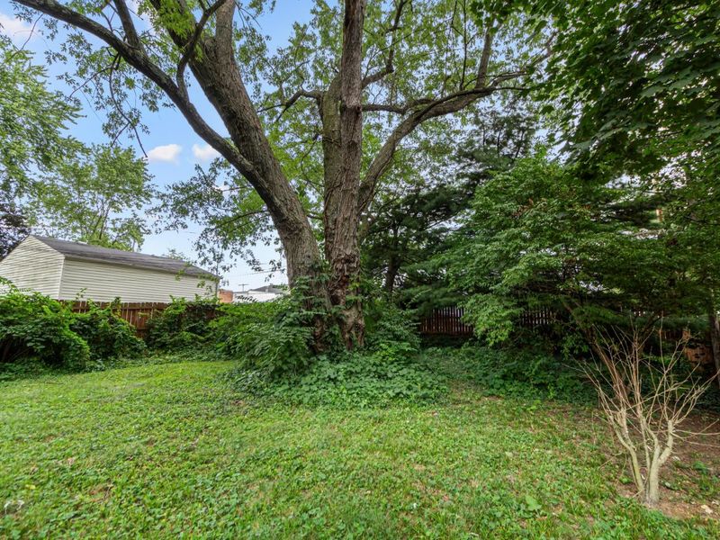 5542 Emerson Avenue, Worthington, OH 43085 Photo 22