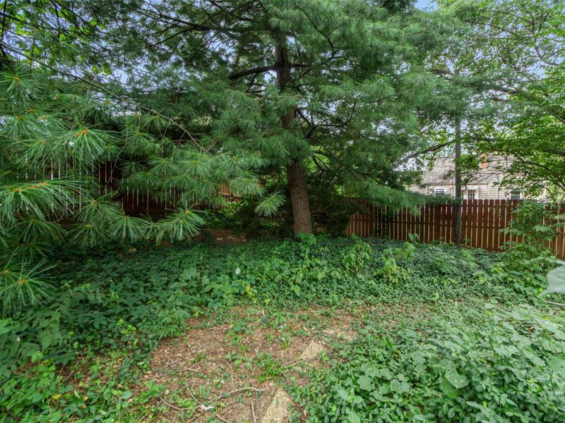 5542 Emerson Avenue, Worthington, OH 43085 Photo 23