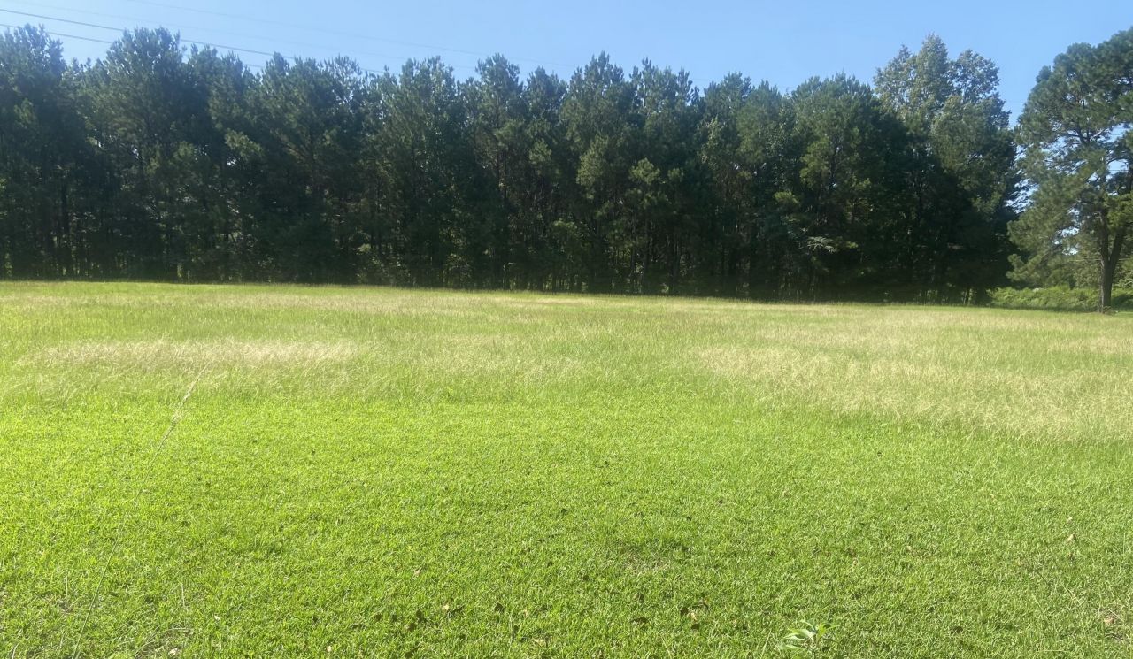 00 Spring Plains Rd Photo 2