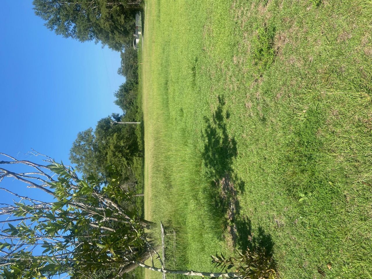 00 Spring Plains Rd Photo 3