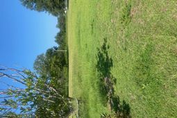 00 Spring Plains Rd photo 4