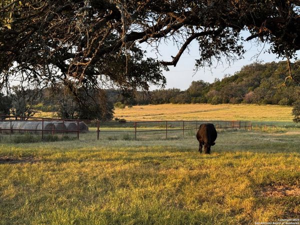 11889 home place, Mason, TX 76856