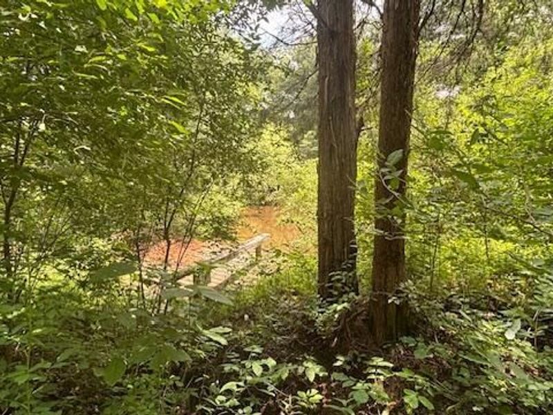 14500 Wolfe Road, Amesville, OH 45711 Photo 4