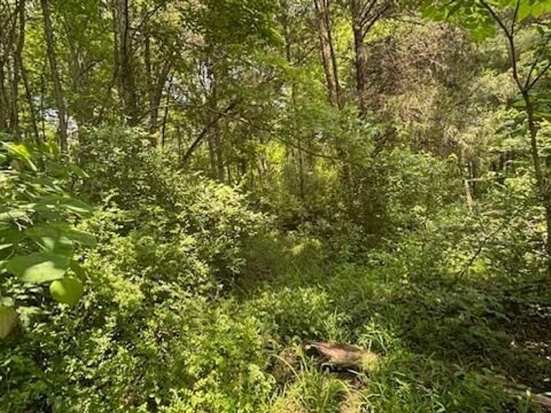 14500 Wolfe Road, Amesville, OH 45711 Photo 5