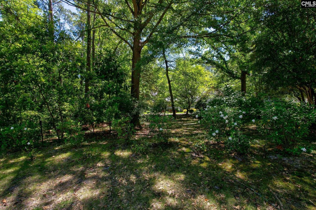 20 Hunt Cup Lane Photo 9