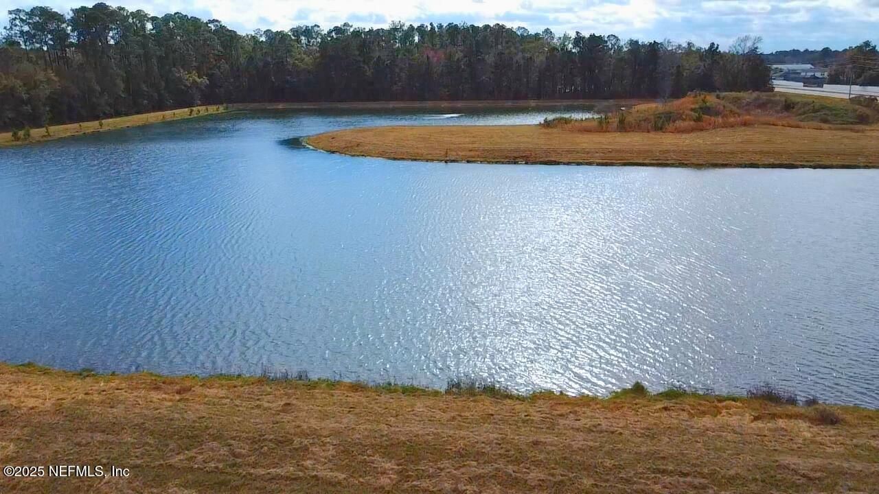 3228 Talisman Drive, Middleburg, FL 32068 Photo