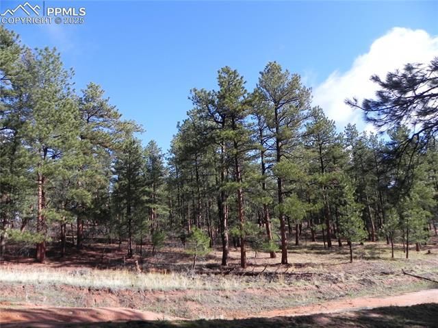 4467 Delaware Drive, Larkspur, CO 80118 Main Photo