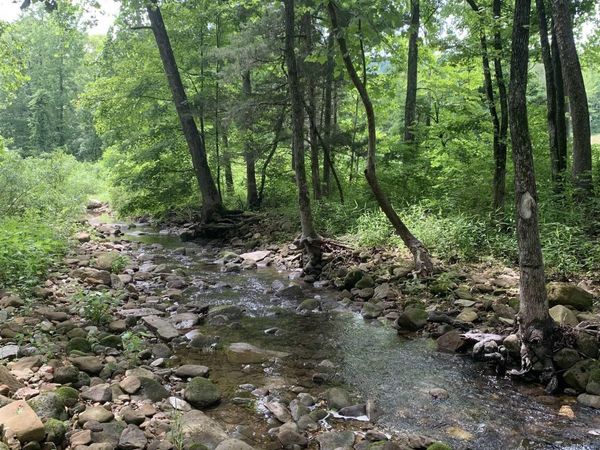 NC 2922, Marble Falls, AR 72648