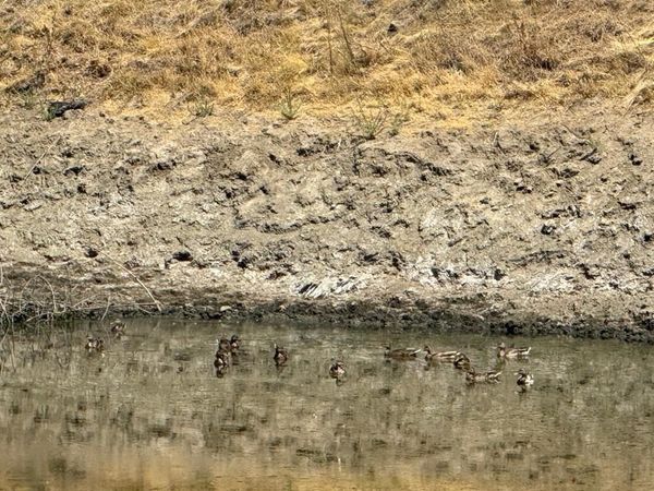 48015 Mines Road, San Jose, CA 95140