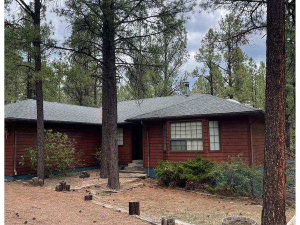 3 County Road 2089, Alpine, AZ 85920