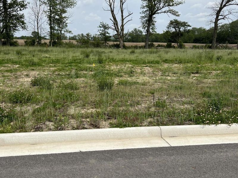 304 Colinsworth, Jackson Center, OH 45334 Photo 2