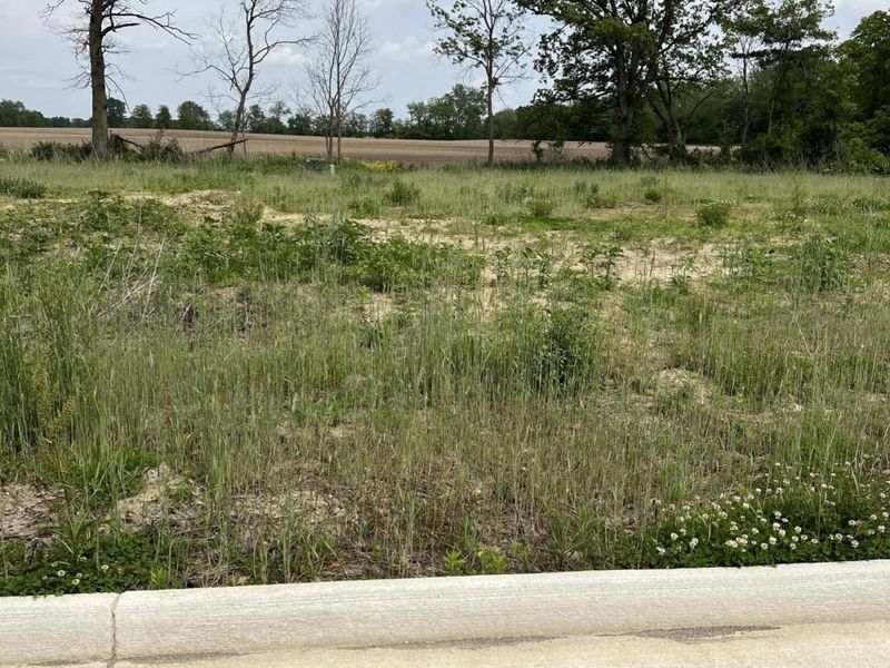 306 Colinsworth, Jackson Center, OH 45334 Photo 2