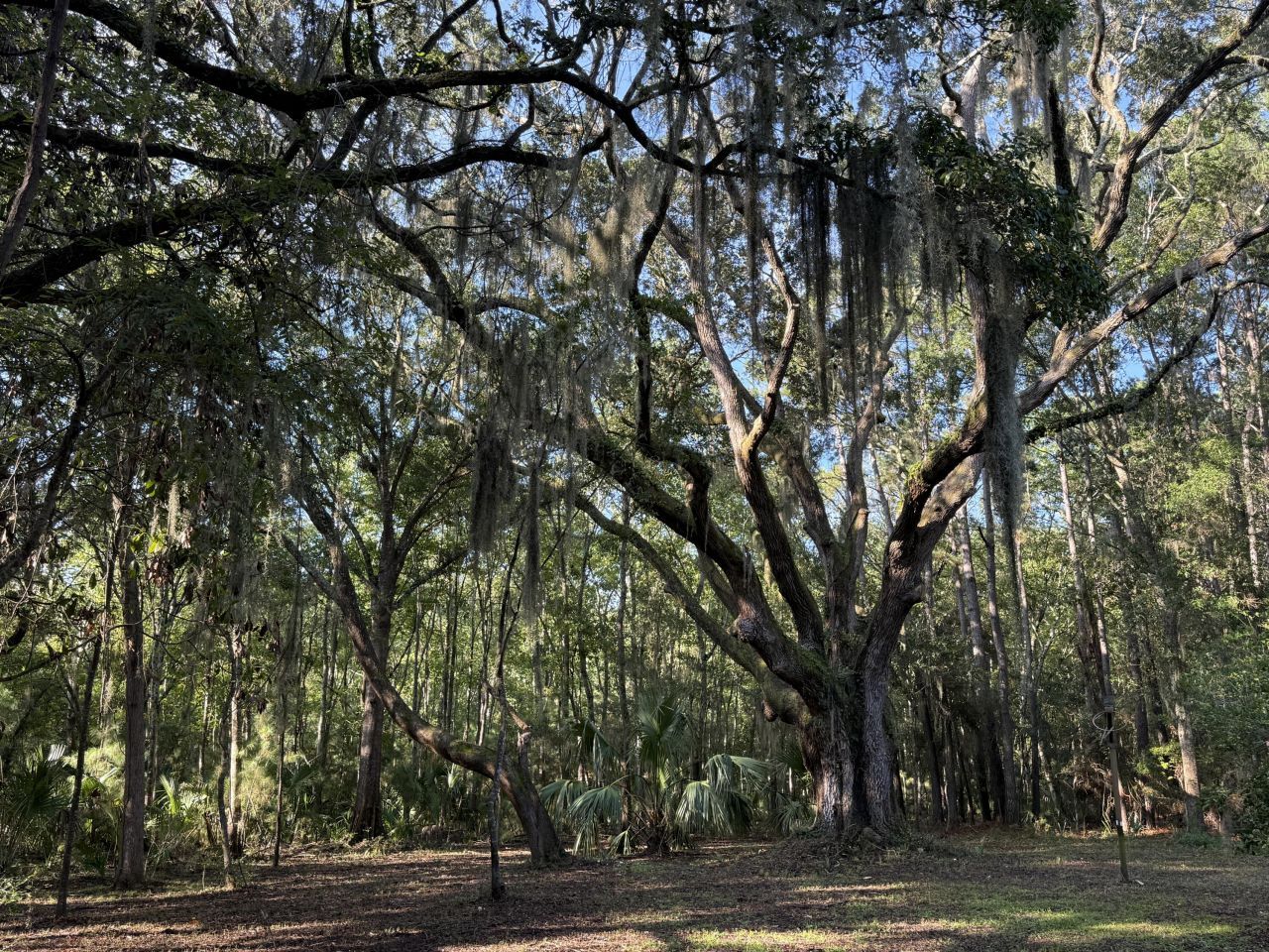 7939 Legare Road Photo 10