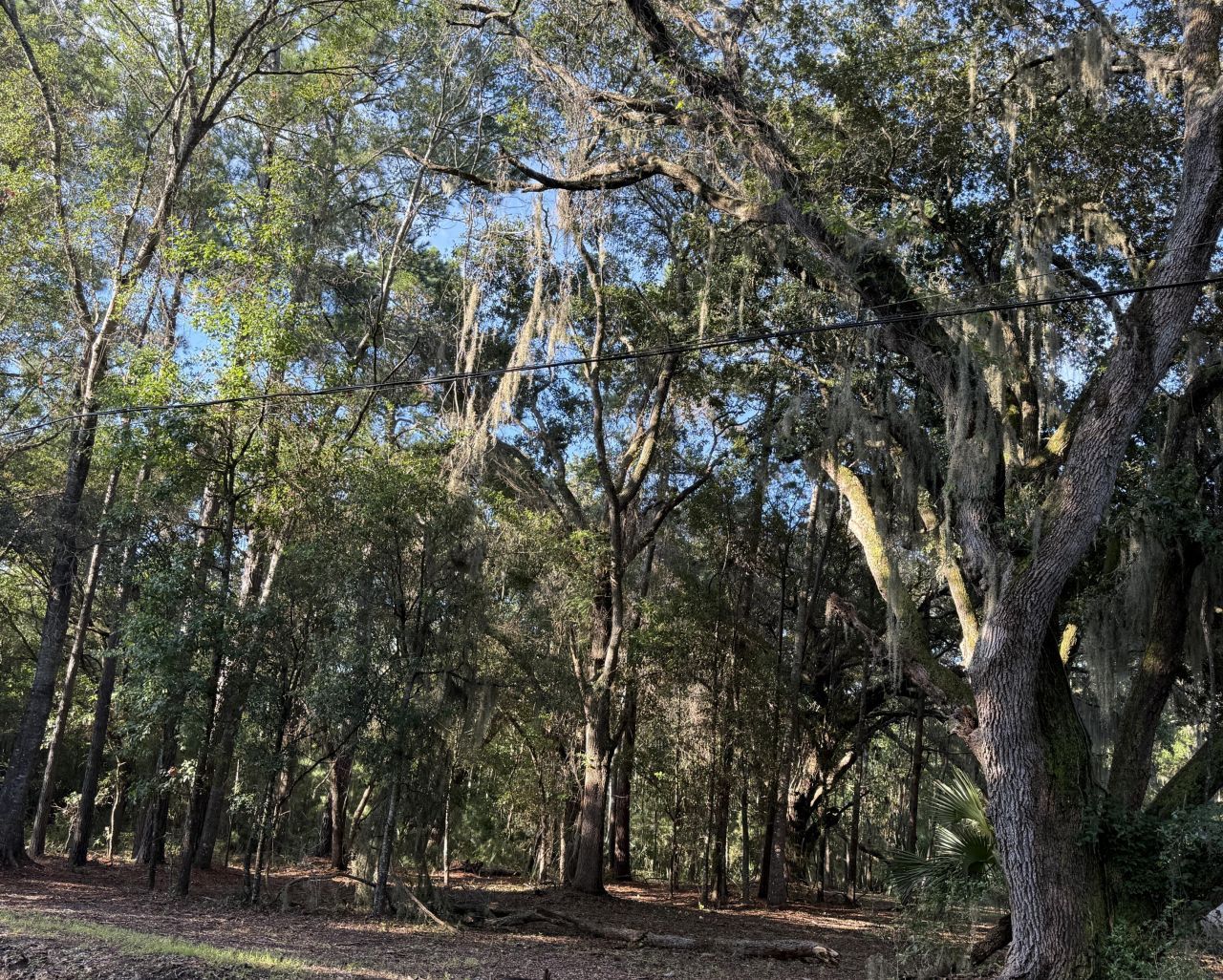 7939 Legare Road Photo 11