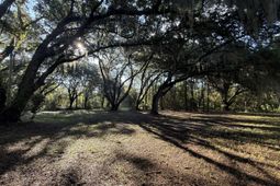 7939 Legare Road photo 4