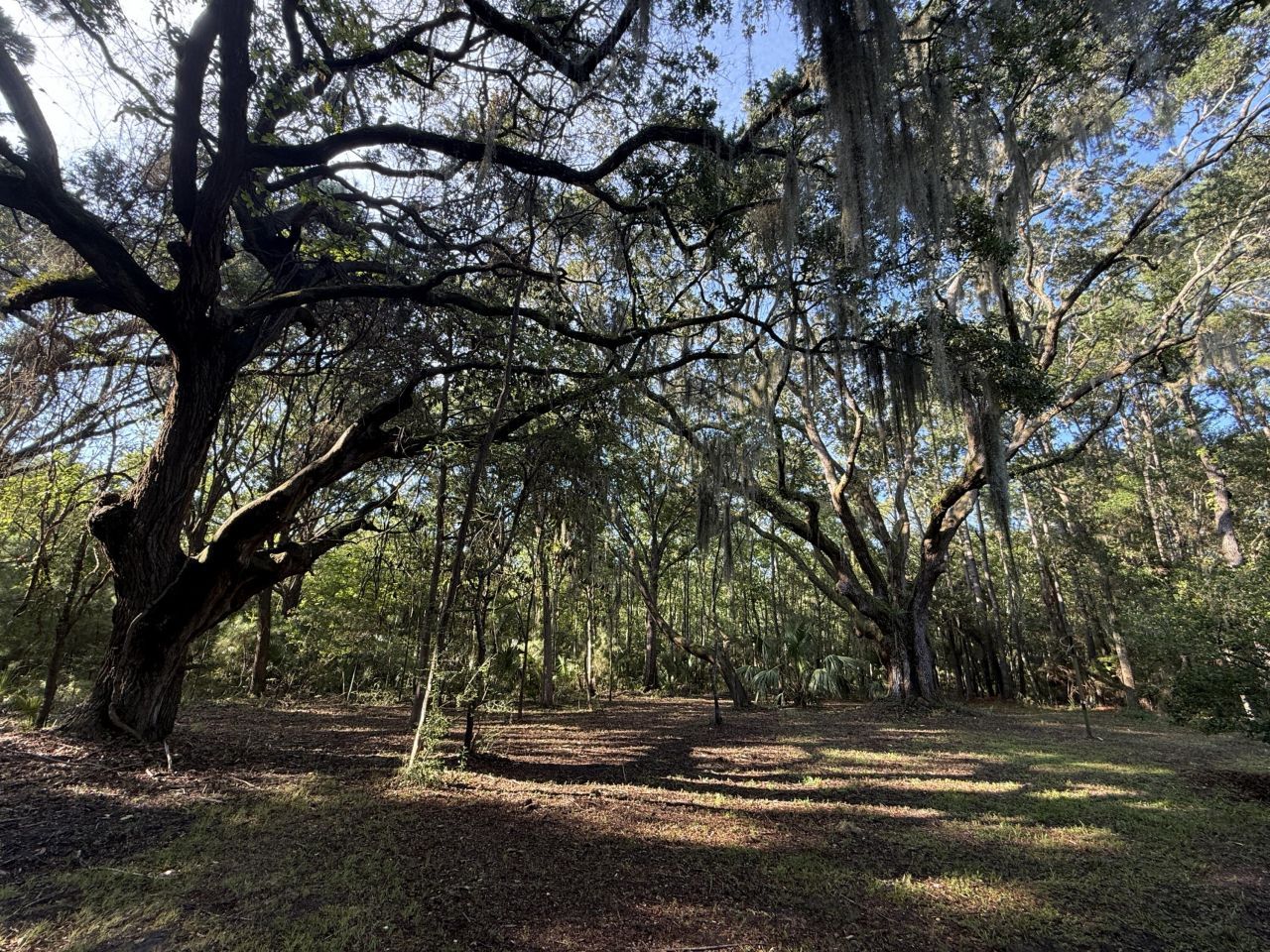 7939 Legare Road Photo 5